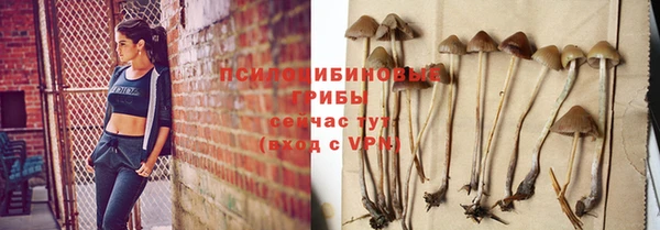 соль курить ск Переславль-Залесский