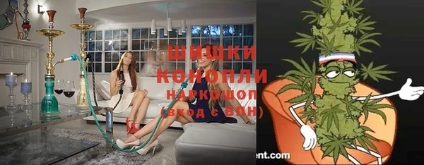 a pvp Пересвет