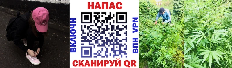 Купить где  Игра  Бошки марихуана AK-47 